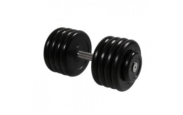 Гантель Профи с вращающейся ручкой, 43,5 кг MB Barbell MB-FdbM-B43,5 600_380