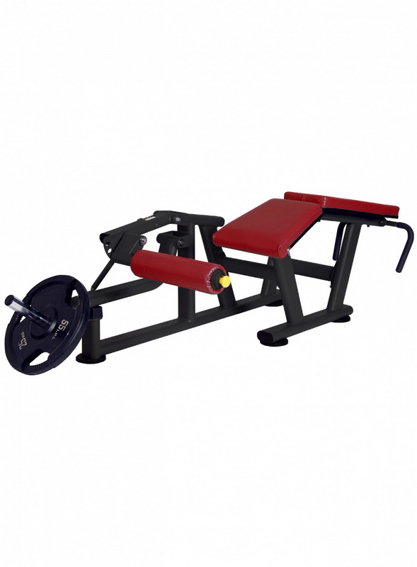 Сгибания ног лежа BenCarFitness TS-P012 589_800