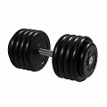 Гантель Профи, 46 кг MB Barbell MB-FdbM-B46 120_120