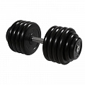 Гантель Профи, 48,5 кг MB Barbell MB-FdbM-B48,5 120_120