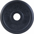 Диск обрезиненный Torres PL50681, D25 мм 1,25 кг, черный 120_120